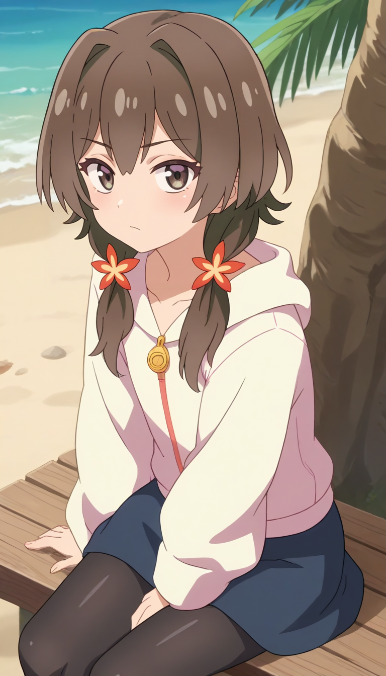 2811507714-3455840199-score_9, score_8_up, score_7_up, source_anime, 1girl, solo, brown hair, brown eyes, hair intakes, low twintails, medium hair, ha.png